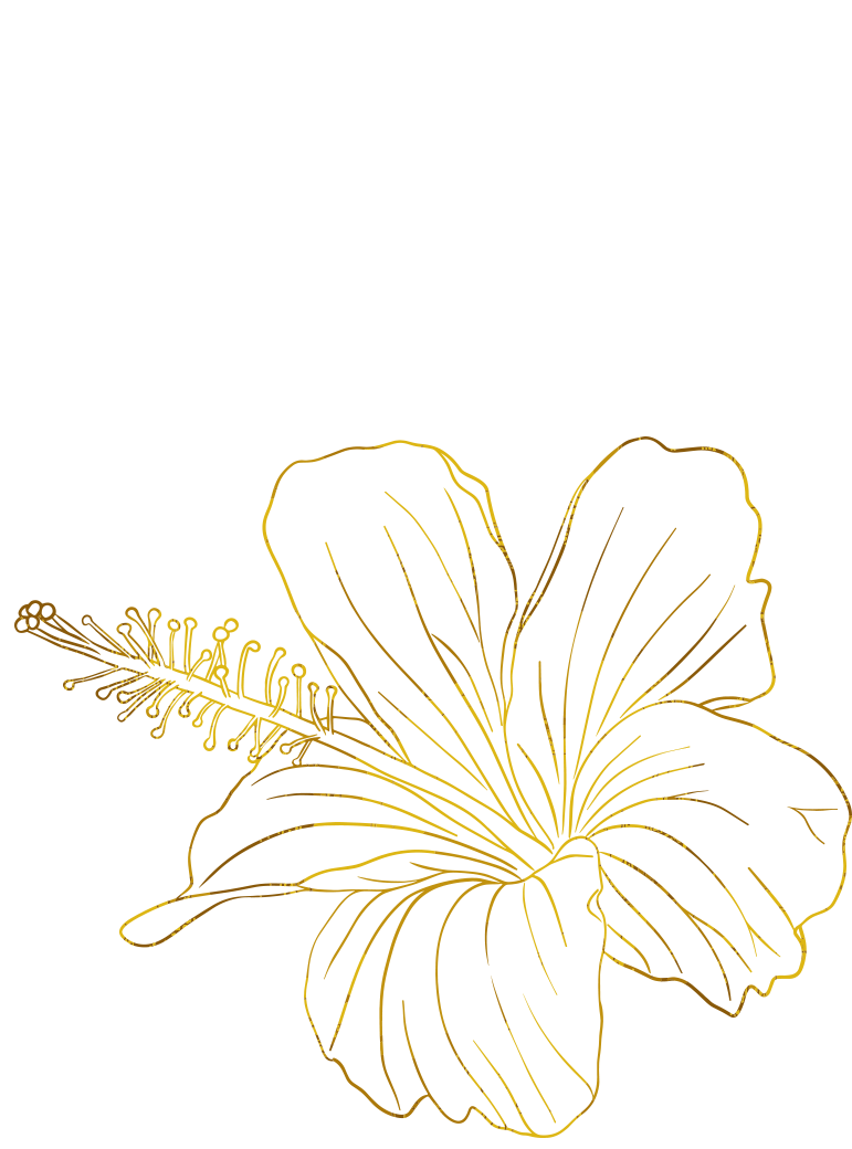hibiskus-hg-2